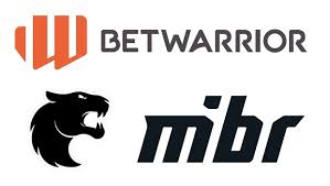 BetWarrior Argentina: ¿Cuánto tarda en pagar y mucho más?